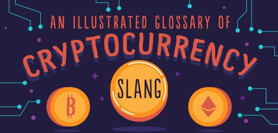 Cryptocurrency Slang Glossary Bag Holder Fud Hodl Whale And More - 